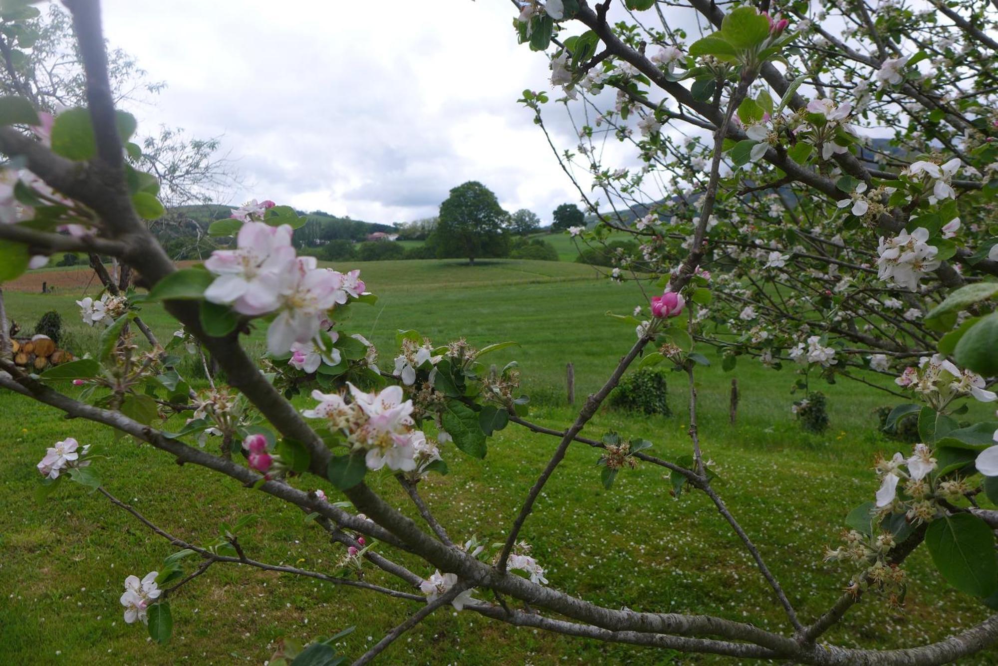 Maison Typique Basque En Pleine Campagne Holiday home Saint-Pee-sur-Nivelle