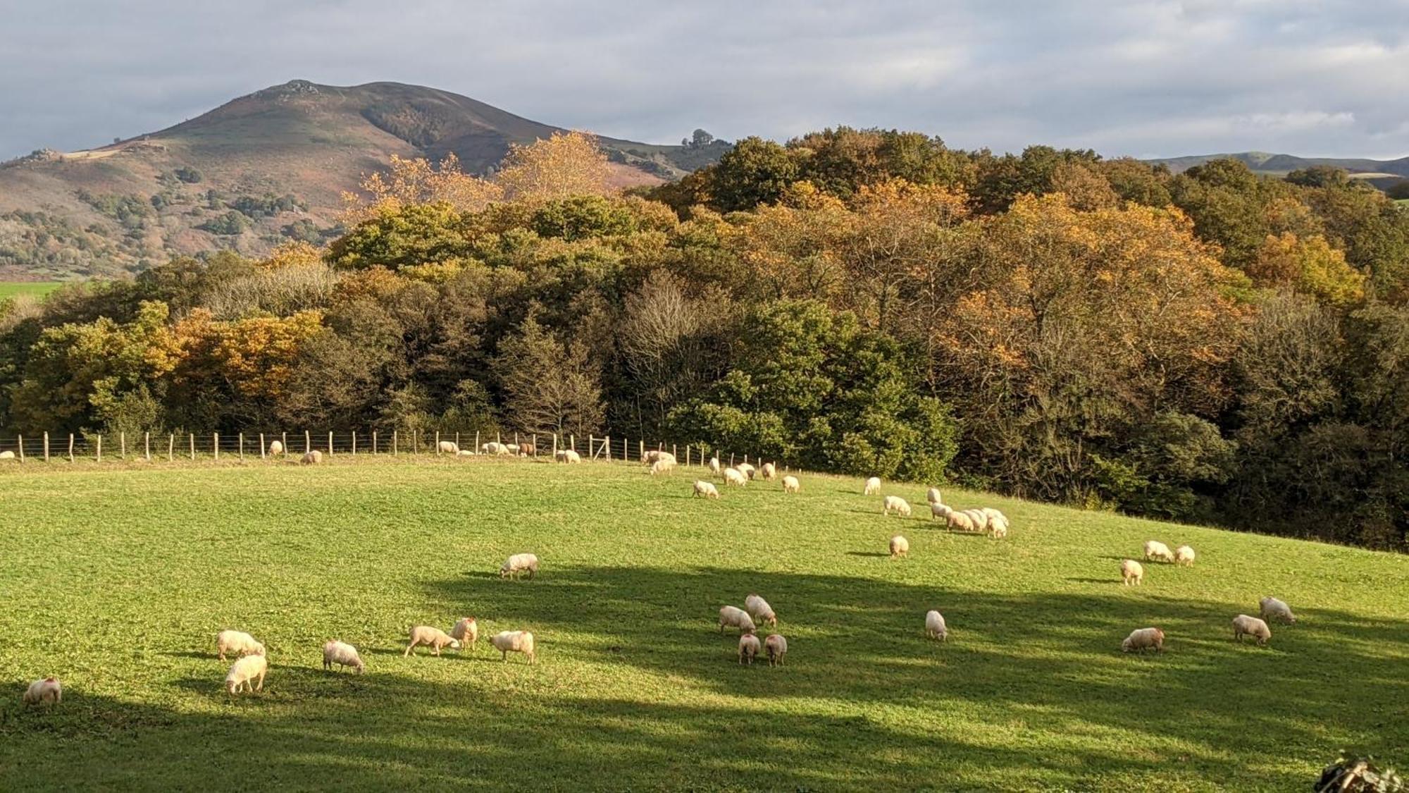 Maison Typique Basque En Pleine Campagne Holiday home *